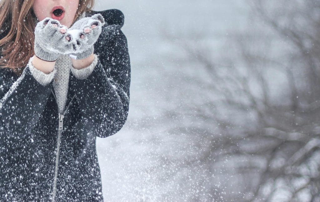 Été comme hiver : pourquoi un ventilateur de plafond est un investissement durable